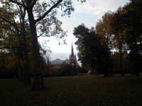 Albert Hall & Albert Memorial