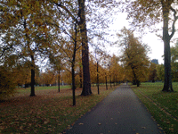 Path - Kensington Gardens